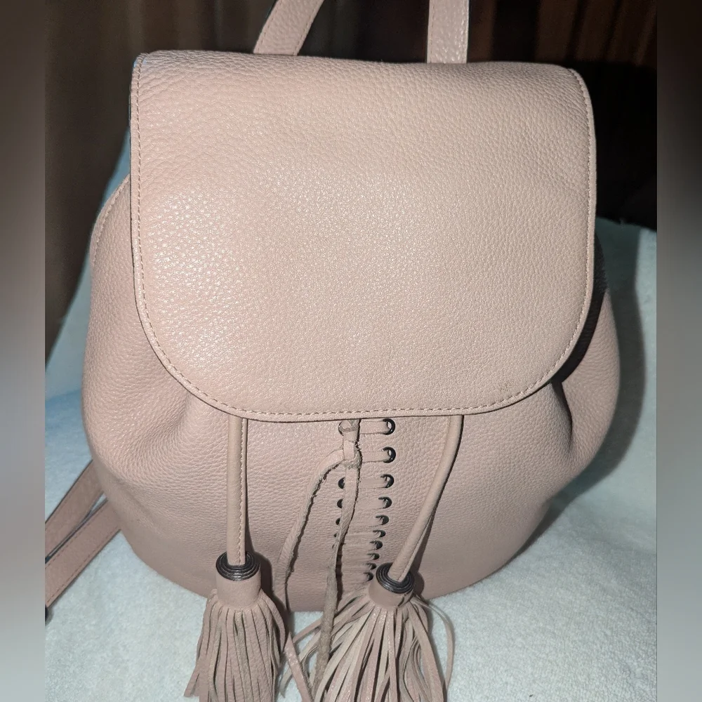 Rebecca Minkoff chic blush